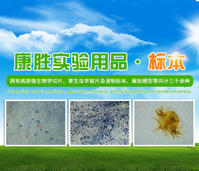 沅江市康胜实验用品有限公司_医学标本加工|免疫学切片|病原微生物学切片|解剖陈列标本