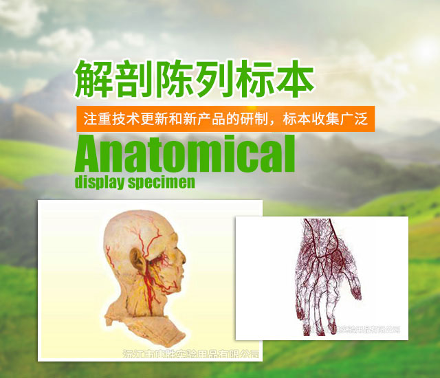 沅江市康胜实验用品有限公司_医学标本加工|免疫学切片|病原微生物学切片|解剖陈列标本