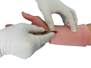 沅江市康胜实验用品有限公司,医学标本加工,免疫学切片,病原微生物学切片,解剖陈列标本