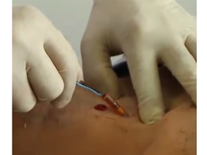 沅江市康胜实验用品有限公司,医学标本加工,免疫学切片,病原微生物学切片,解剖陈列标本 沅江市康胜实验用品有限公司,医学标本加工,免疫学切片,病原微生物学切片,解剖陈列标本